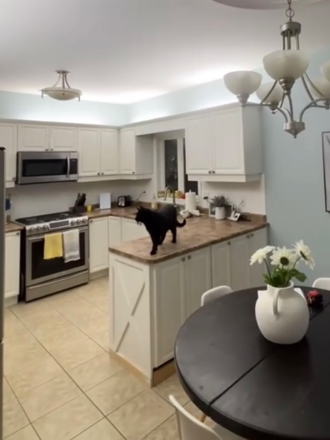 Sage Green Kitchen 2